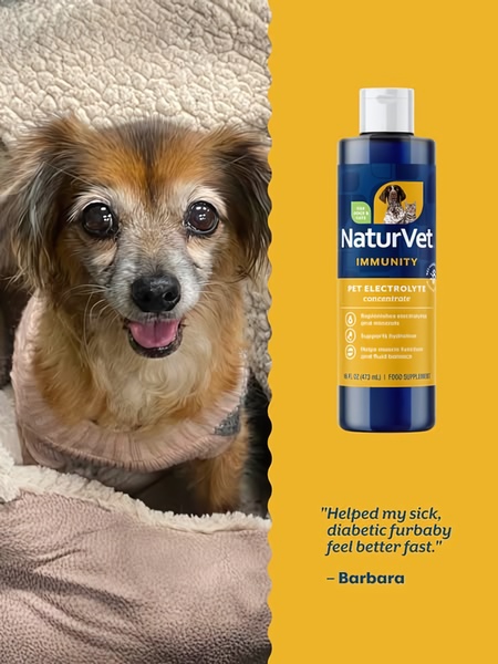 A split-layout creative featuring a high-empathy close-up of a senior pet paired with product branding and a specific customer testimonial.